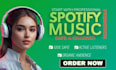 do professional spotify  afrobeats  music promotion