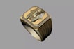 create 3d modern ring design, elegant ring, stud earring, stl animal cad ring