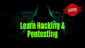 teach cybersecurity and master pentesting to make money