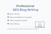 write SEO optimized blog articles for your website