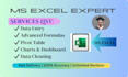 do professional ms excel data entry and excel expert work