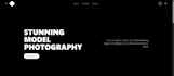 design professional graphics and websites