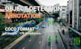 do image annotation and bounding boxes in coco json