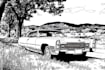draw line art vector from your car