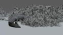 create realistic 3d animal animation, creature modeling, rigging and fur