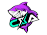 create a high quality mascot shark logo design