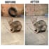 do high quality image editing