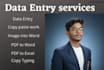 professionally do data entry,data scraping,email leads, pdf to excel convention
