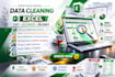 excel data entry and excel data cleaning, data cleanup