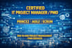 professionally deliver end to end IT project management services