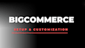 design a professional and modern bigcommerce storefront
