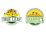 design a professional microgreen logo