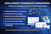 provide professional pmo and project management consultation
