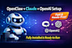 install openclaw, claude and openai, ai agent with full setup