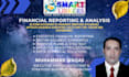 create professional financial reports and financial analysis