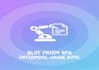 develop a professional blue prism rpa bot
