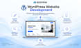 develop your wordpress website