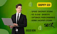 speed up shopify store, fix slow website and optimize performance, speed expert
