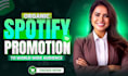 professional spotify music promotion
