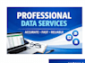 do data entry, copy paste, data scraping, pdf to excel data