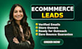 povide b2b ecommerce leads, shopify store owners and email list