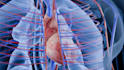 create 3d medical animation, 3d medical device explainer, anatomy video