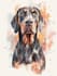 paint stunning pet portrait