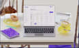 create saas explainer video in notion style, startup video, product launch, tech