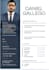 design a professional modern resume or CV