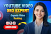 audit and optimize your youtube videos with professional SEO