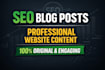 write SEO blog posts and high converting website content