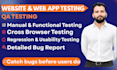 do website and web app QA testing with detailed bug reports