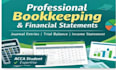 do bookkeeping,journal entries,and basic accounting tasks in excel