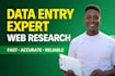 provide expert excel data entry, and CRM data cleaning