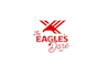 design a bold and professional eagle logo