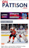 publish articles on onpattison,com voyageny,com siit,co