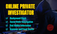 do osint research and professional background check