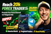 do telegram ads grow forex traders telegram forex promotion telegram promotion