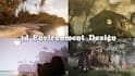 create professional 3d environments and animations