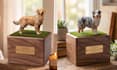 do customized pet urns