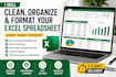 clean, organize and format excel spreadsheets professionally