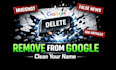 remove mugshots, delete negative links, false news in google, erase bad articles