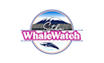 design best quality whale watch logo