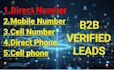 provide b2b leads with direct number, mobile number, phone number