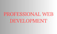 fix HTML CSS and javascript bugs in your website