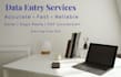 provide accurate data entry and excel services