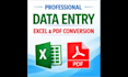 do accurate data entry, excel work and pdf conversion