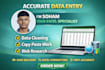 do accurate data entry, data cleaning, excel formatting