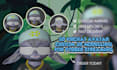 custom vrchat setup, furry nsfw avatar, vrchat texture, booth avatar, vrm quest
