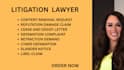 create concise cyber defamation, libel, slander and reputation claim documents
